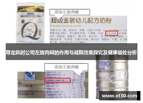 尊龙凯时公司左旋肉碱的作用与减脂效果探究及健康益处分析
