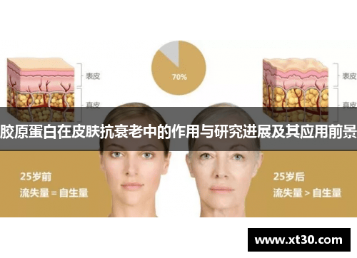 胶原蛋白在皮肤抗衰老中的作用与研究进展及其应用前景