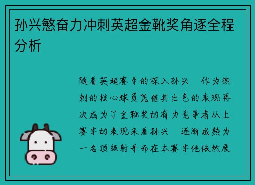 孙兴慜奋力冲刺英超金靴奖角逐全程分析